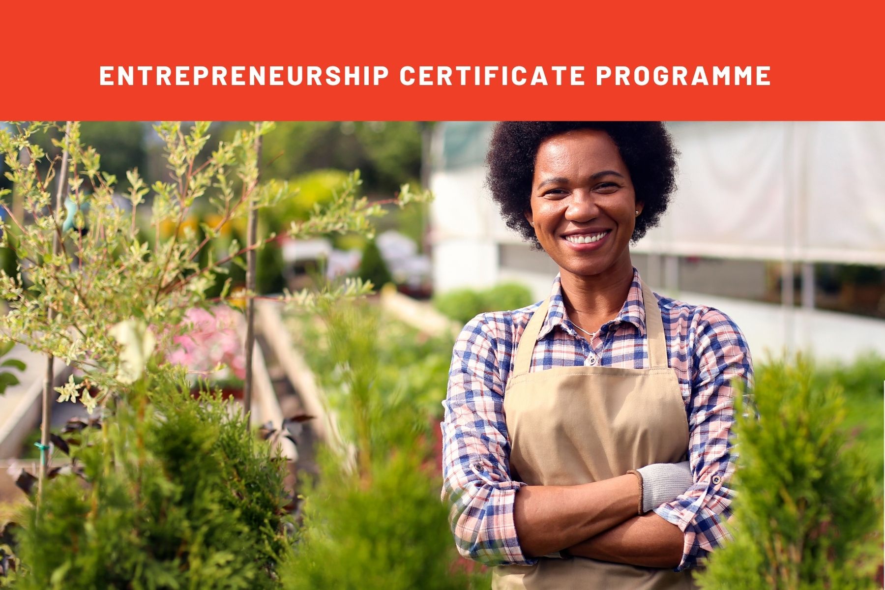 What type of entrepreneur do you want to be?